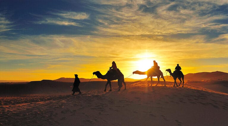 Things & places to see in Marrakech